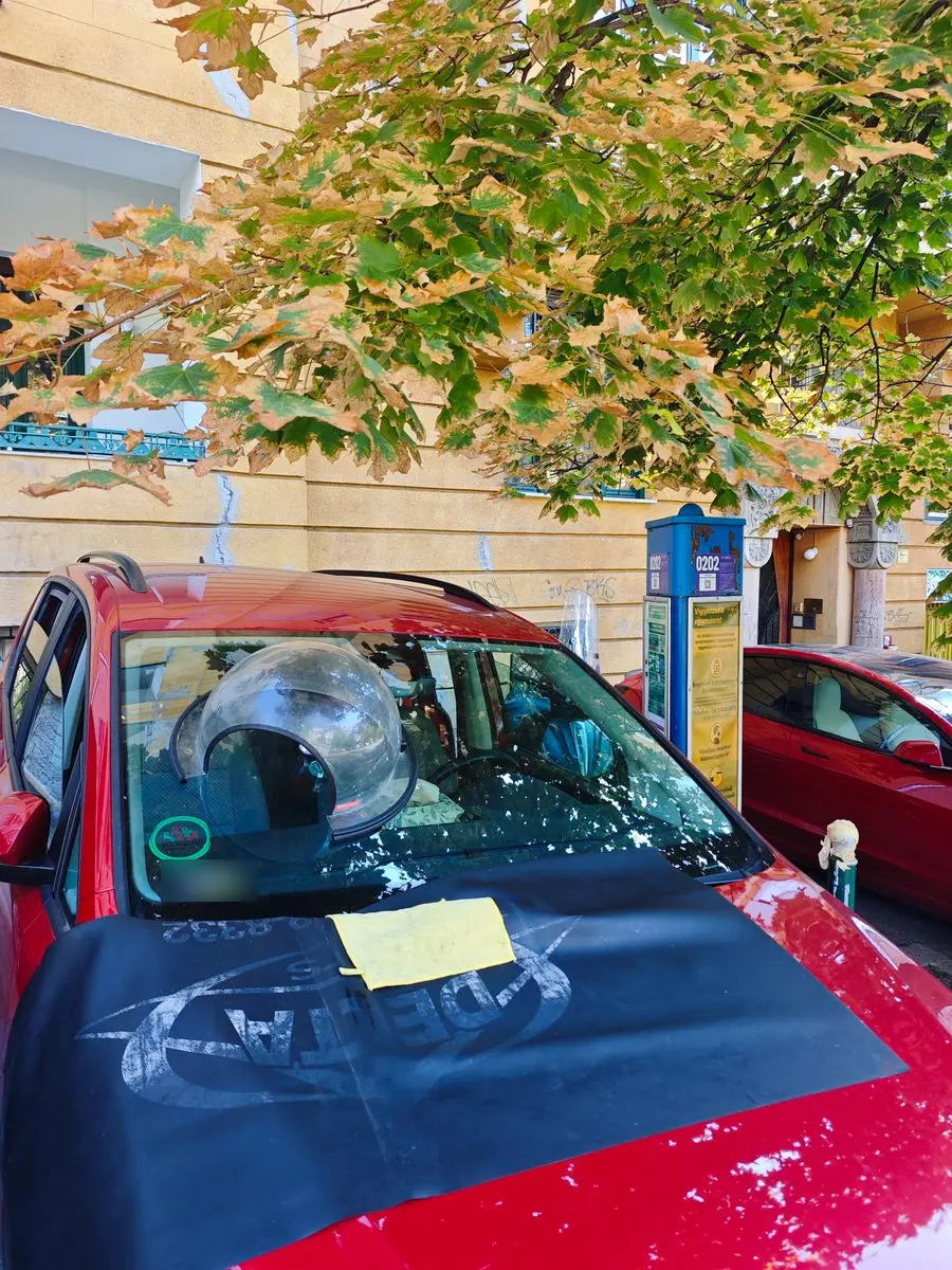 Szélvédő javítás a II. kerületben, a Bimbó úton – a szélvédőn UV-védő búra, a motorháztetőn Delta Kits védőtakaró